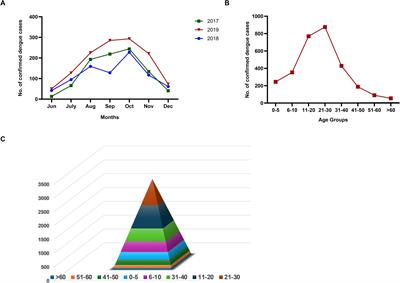 Dengue in Pune city, India (2017–2019): a comprehensive analysis